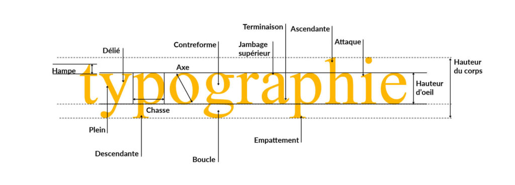Anatomie de la typographie en détail